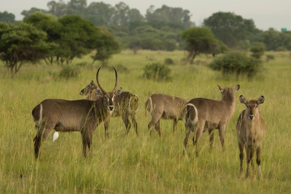 Kedar Heritage Lodge, Conference Centre & Spa Rustenburg Buitenkant foto