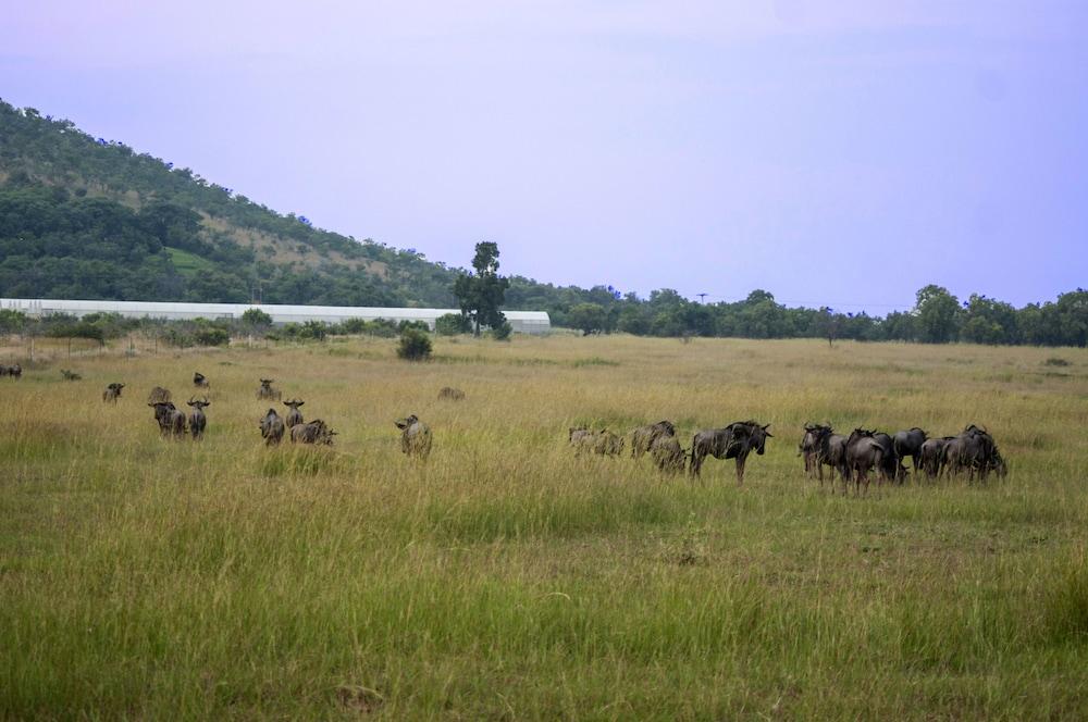 Kedar Heritage Lodge, Conference Centre & Spa Rustenburg Buitenkant foto